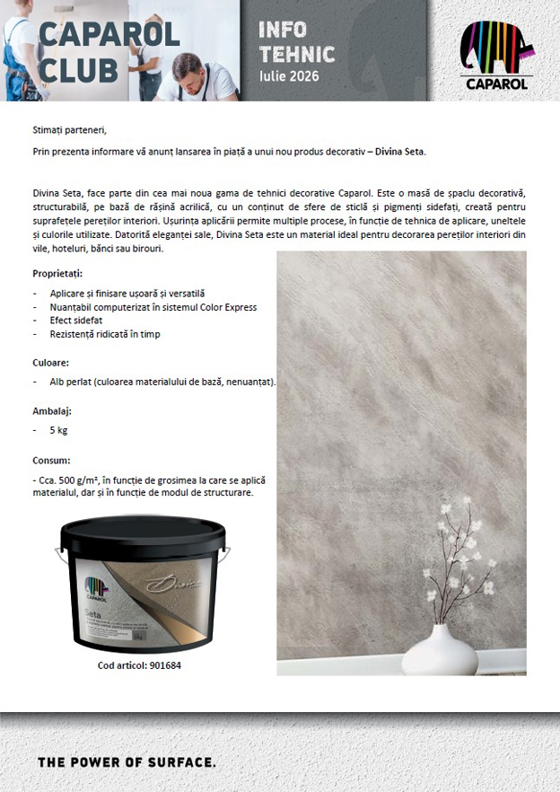 Tehnici decorative pentru interior Divina Seta
